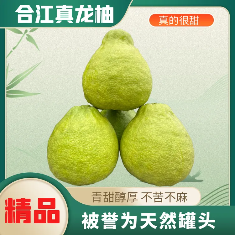 【精品】合江真龙柚真甜不苦不酸精品果正宗泸州特产