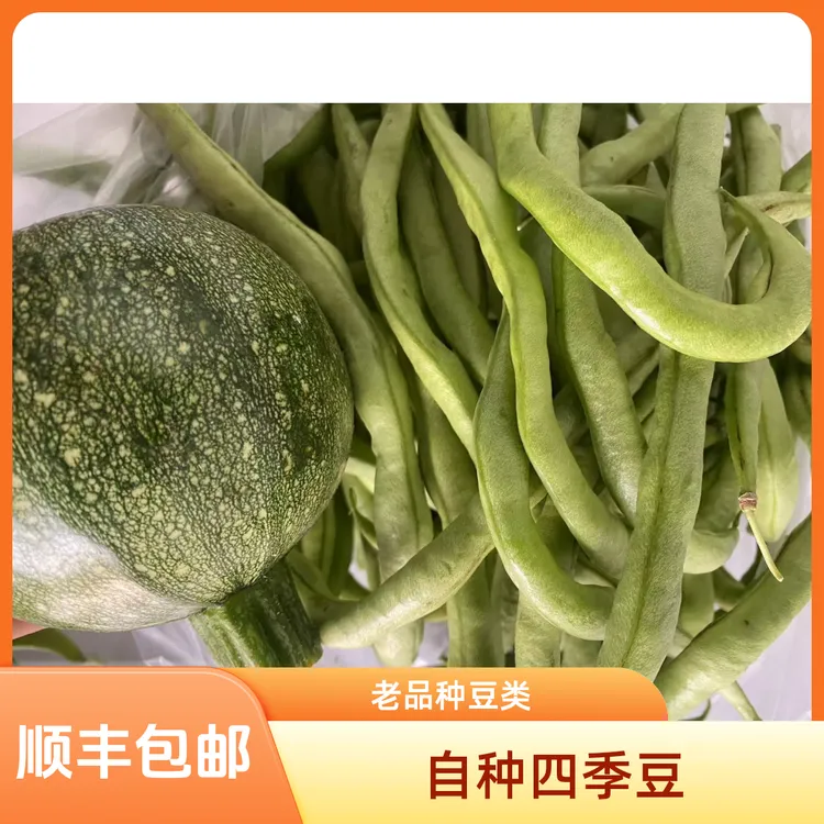 贵州农家自种老品种小南瓜四季豆（贵州素瓜豆）