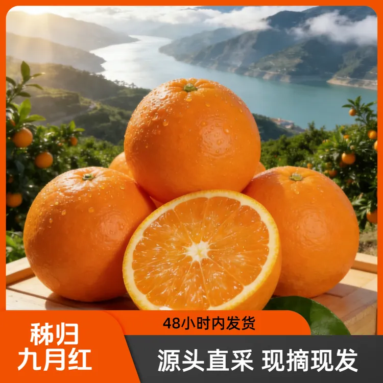 湖北秭归脐橙新鲜九月红果冻橙应季水果薄皮多汁现摘橙子产地直发