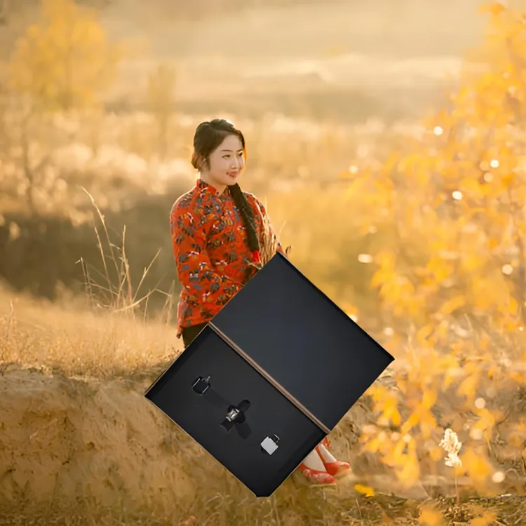 小燕USB优质盘带转换器