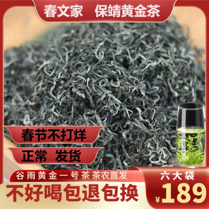 保靖黄金茶2025谷雨特级高香浓香型浓香绿色茶栗香浓香头采耐泡