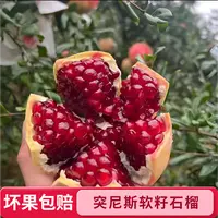 J【福利果】正宗四川会理软籽石榴6个装手掌大小尝鲜装包邮到家