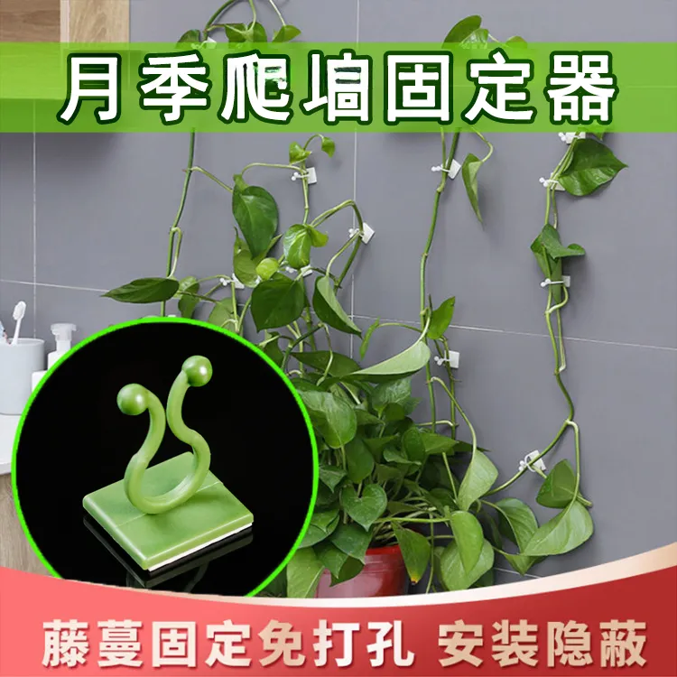 【脱落包赔】月季爬墙器 绿萝蔷薇上墙神器无痕园林养护物资商品图