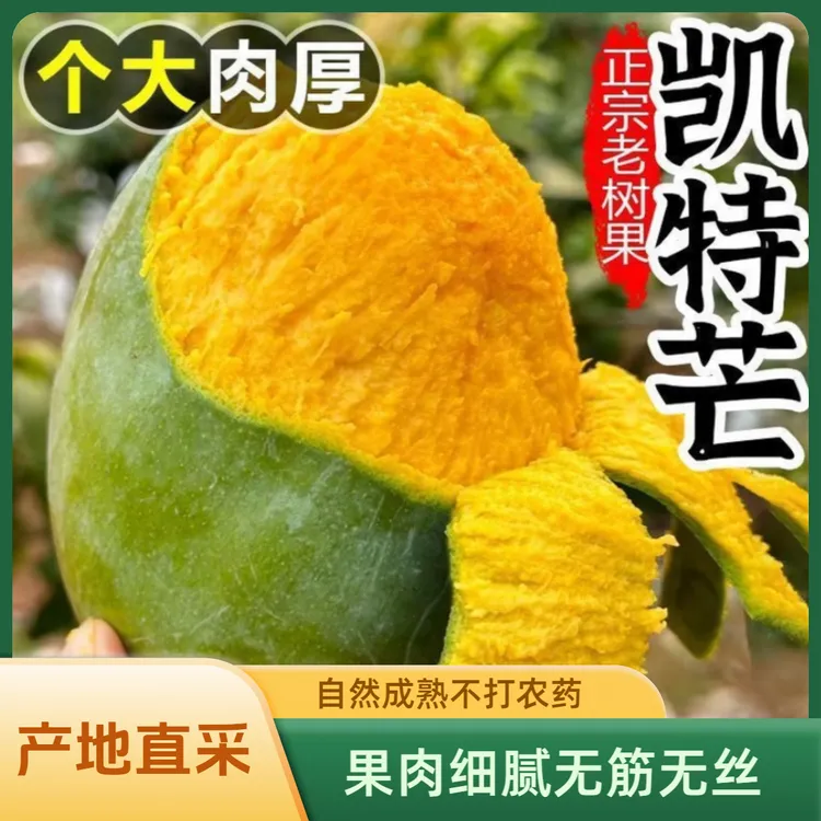 【放软食用】正宗攀枝花凯特芒果青皮黄肉新鲜应季水果肉厚香甜包邮