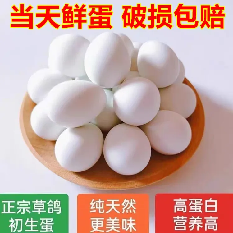新鲜鸽子蛋30枚孕妇宝宝辅食五谷杂粮喂养鸽子现捡现发鸽子蛋包邮