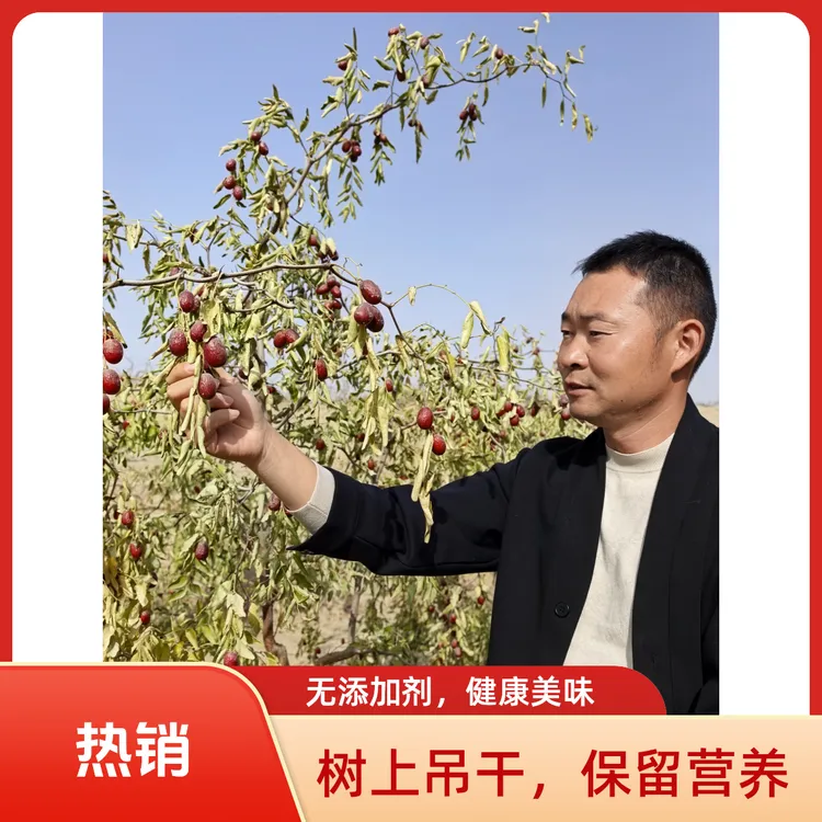 【新疆灰枣 自家果味】正宗生态未清洗吊干红枣 特级、一级、二级混装