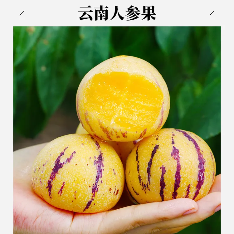 云南人参果树上熟爆汁低糖奶香高原新鲜当季水果整箱包邮