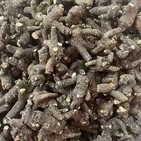 【阿甘山货】云南高山高海拔 黑西洋参 -----------可搭配枸杞