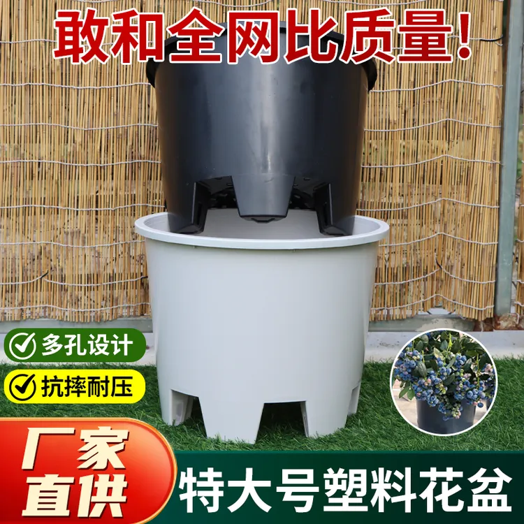 蓝莓种植专用盆圆形加厚大口径树脂耐磨抗旱控根盆果树绿植通用盆