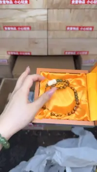 金丝海柳双圈@@sp366