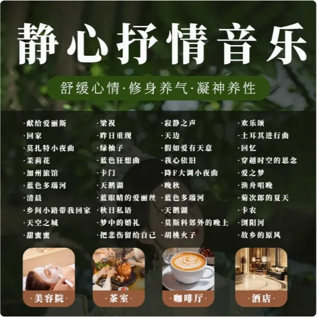 静心抒情轻音乐无损u盘优盘车载五音疗愈茶室禅音养生馆古典