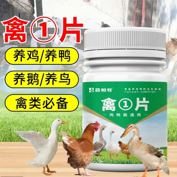【禽一片】鸡鸭鹅鸽子鹌鹑禽类养殖通用饲料添加剂厂家直销