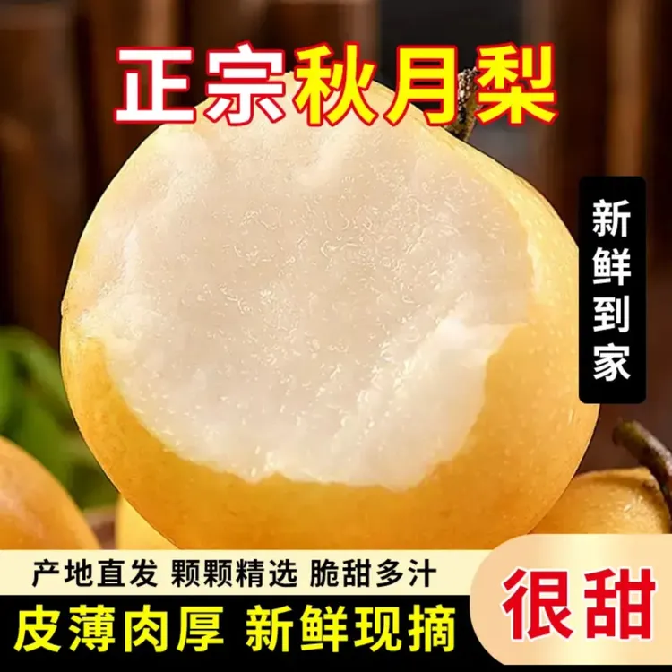 【坏果包赔】甄汇优 d正宗山东秋月梨清甜爆汁脆嫩爽口化渣
