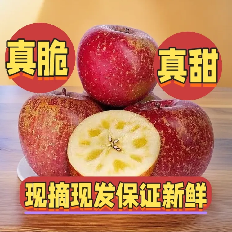 正宗云南昭通冰糖心苹果脆甜多汁新鲜水果产地直发净重5斤