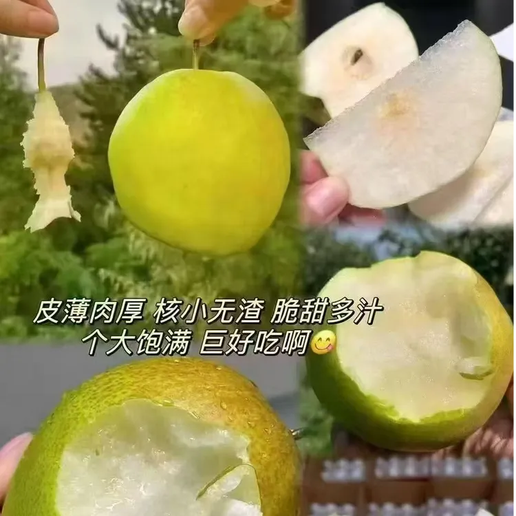 【长城脚下】清甜！辽西玉露香梨苹果，一口多汁润心田！梨子皮薄
