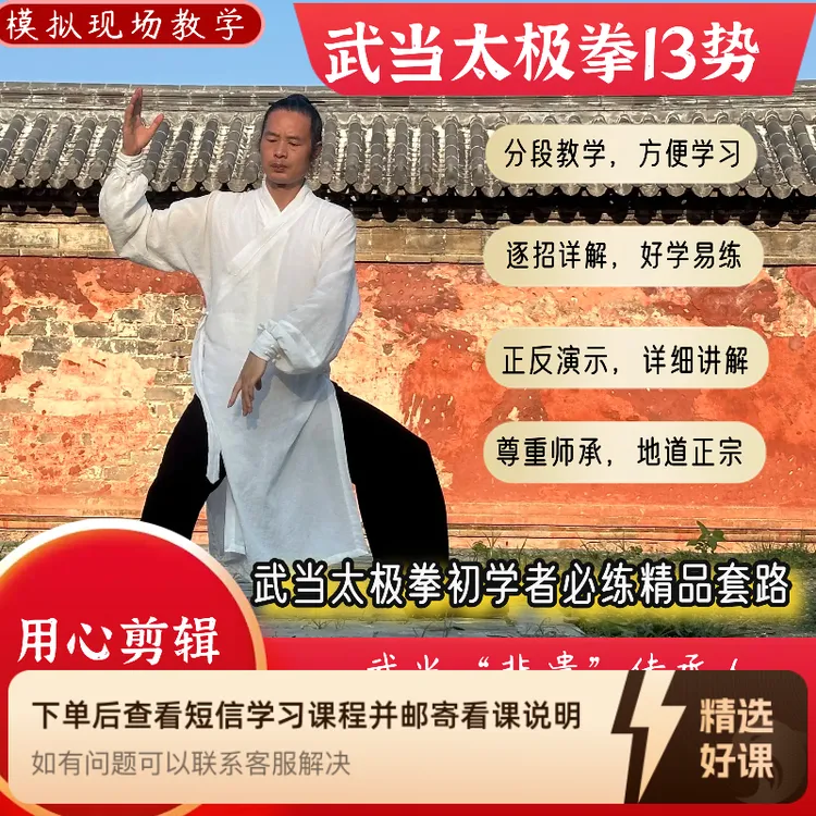武当太极拳13势教学，杨师高逐招、详解（留意短信解锁课程）
