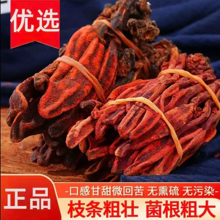 【真货无硫】云南野生回春草顶天柱泡水煲汤泡酒搭配枸杞正宗正品