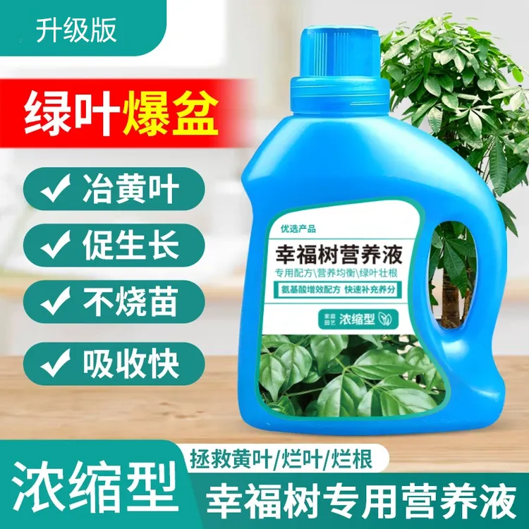 【优惠】幸福树浓缩营养液绿植花卉专用植物肥料观叶叶面肥通用商品图