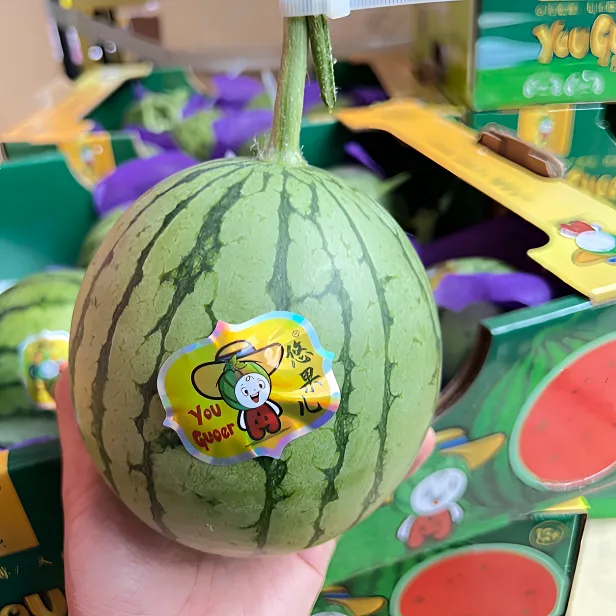 当季限定红颜小糖丸冰激凌西瓜4-6斤【顺丰包邮】