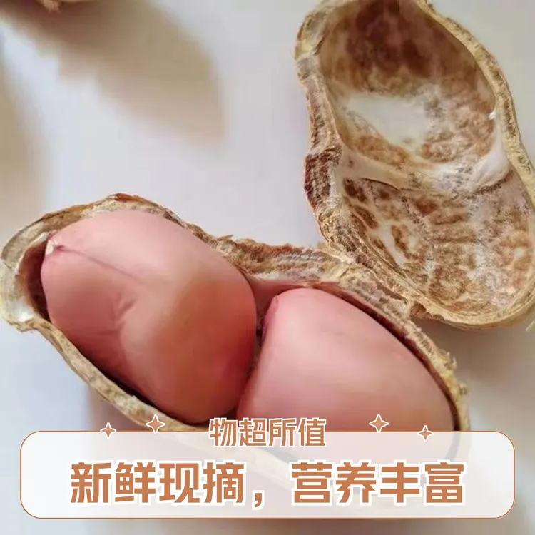 当季新货现剥白沙花生米粒粉红皮选用优质干燥花生无壳榨油