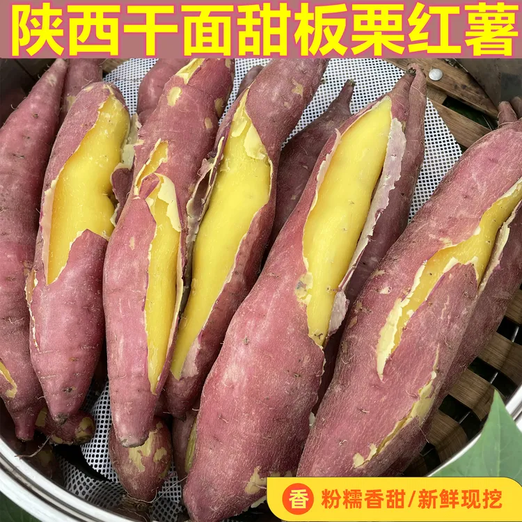新鲜现挖干面粉糯香甜无丝无筋陕西临潼板栗红薯山芋番薯4.5斤
