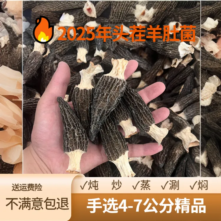 新货头茬（4-7公分）精品六妹高山干货种植六妹羊肚菌正宗羊肚菌
