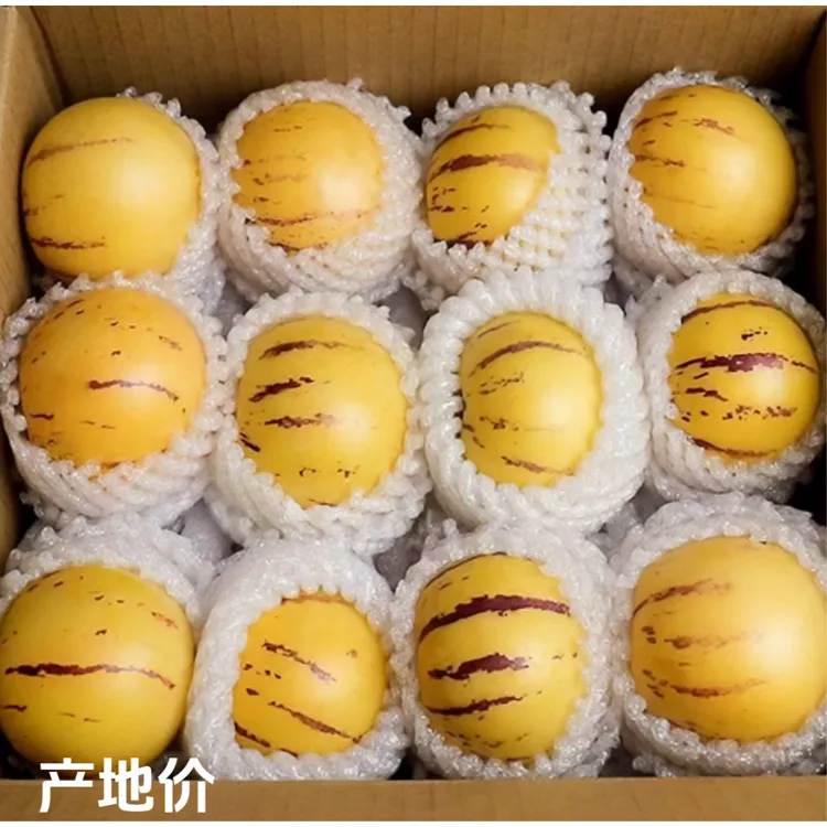 云南石林人参果新鲜水果树熟黄肉圆大果皮薄清甜多汁应季3/5水果