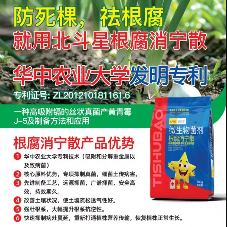 《北斗星根腐消宁散》200g一亩地怕死棵祛根腐