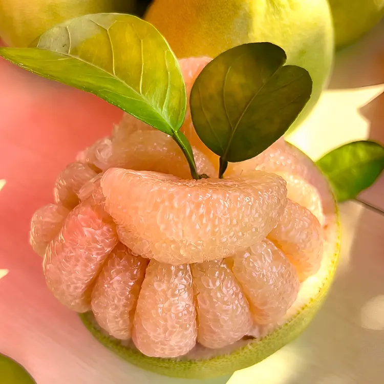 【京东到家】正宗福建文旦柚蜜柚孕妇水果酸甜自家果园现摘现发包邮