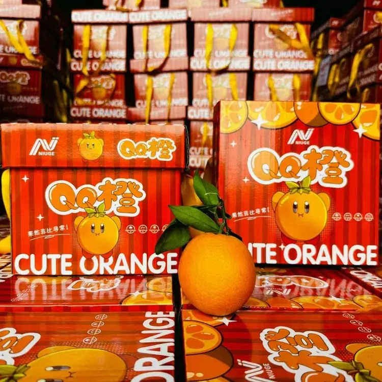 正宗赣南脐橙迷你小果QQ橙 甜园牧歌 产地直发树上熟小孩孕妇水果