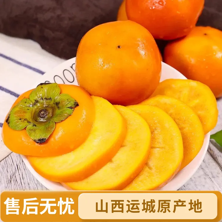 运城阳丰巧克力脆柿子硬吃不涩新鲜水果脆柿子4.5斤产地直发包邮