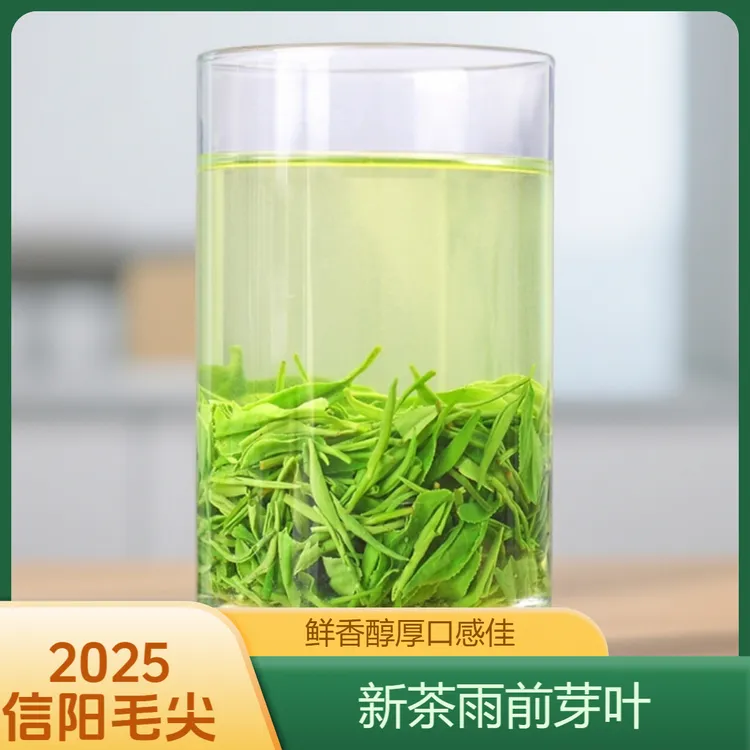 2025新茶信阳毛尖春茶雨前高香芽叶鲜香醇厚口感佳