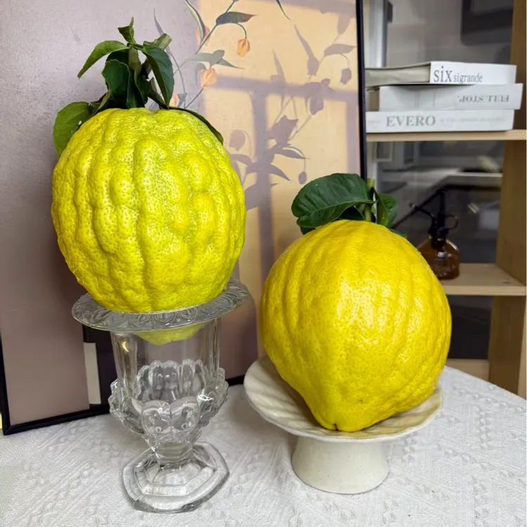 云南香橼果青黄果摆件云南特产清供盘可作观赏果--威果