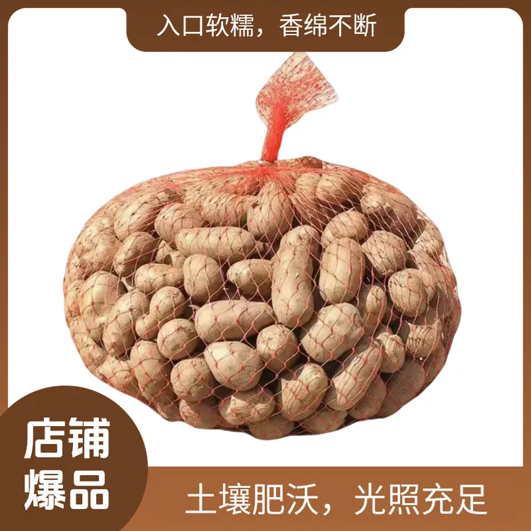 新鲜小山药豆零余子直播辅食佳选软糯面粘糖葫芦生鲜煲汤产地直发