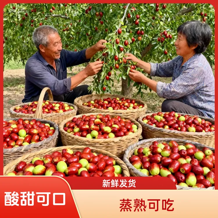 黄河滩自然鲜枣木枣脆枣5斤酸甜可口生吃蒸吃天然硬枣