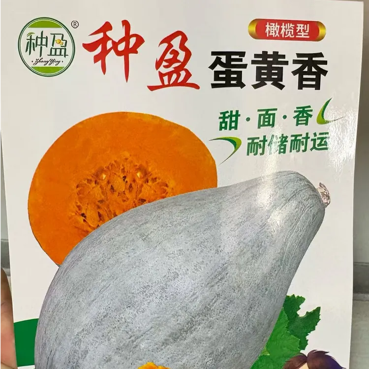 种盈蛋黄香南瓜种子  甜面香耐储存耐运输