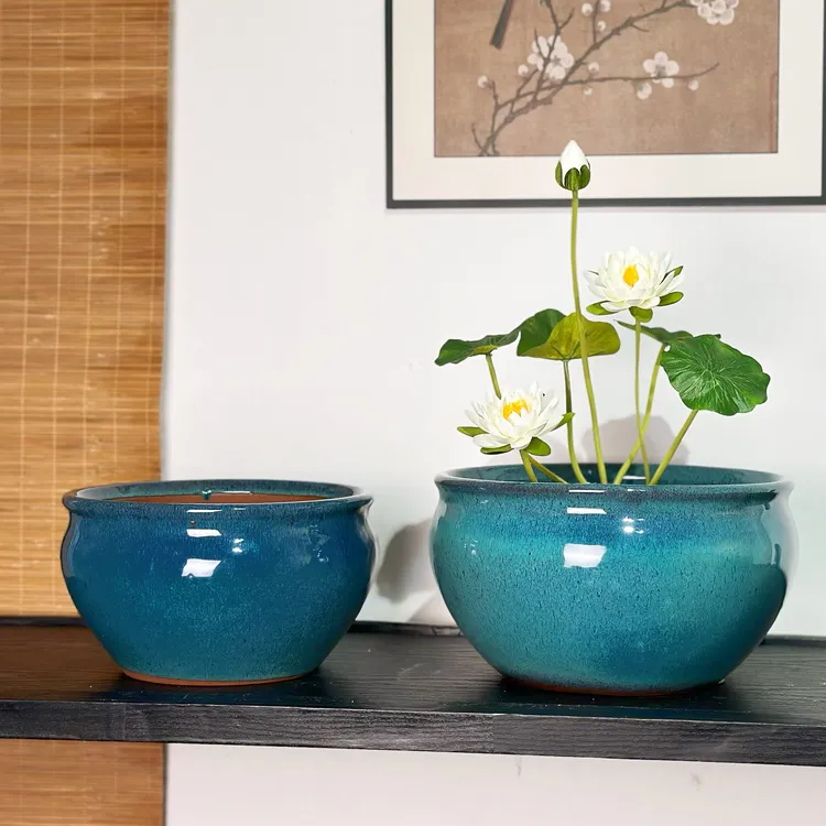 碗莲专用盆水培花盆碗莲花盆陶瓷盆无孔花盆铜钱草花盆