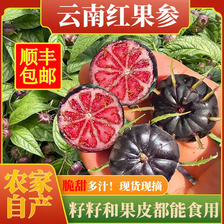【顺丰包邮】正宗云南高山红果参蜘蛛果新鲜采摘产地直发当季水果
