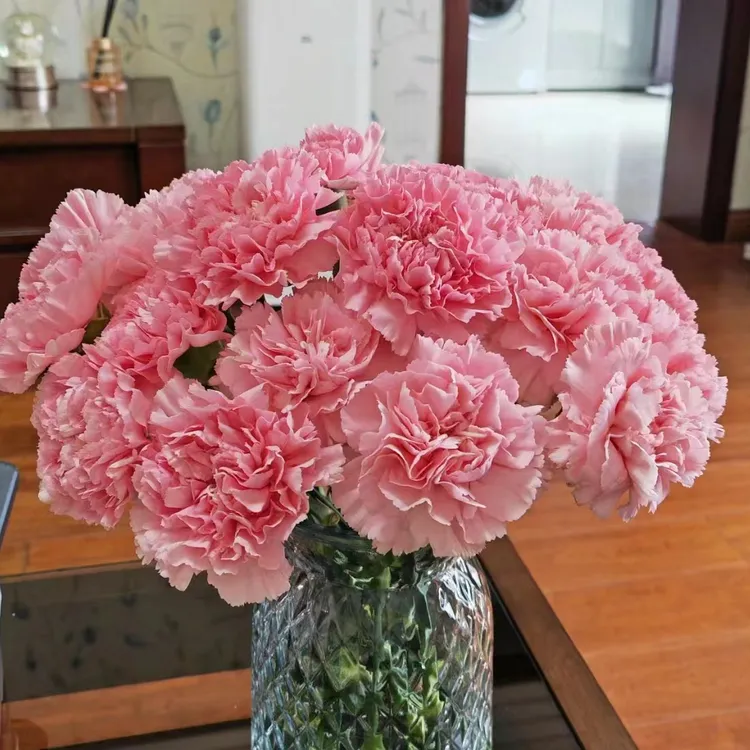 【鑫鹭花卉专属链接】{康乃馨+花瓶}云南鲜切花基地现采现发