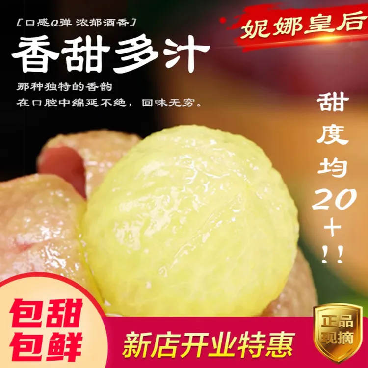 正宗云南宾川当季新鲜现摘无籽妮娜皇后葡萄顺丰急速发货营养丰富