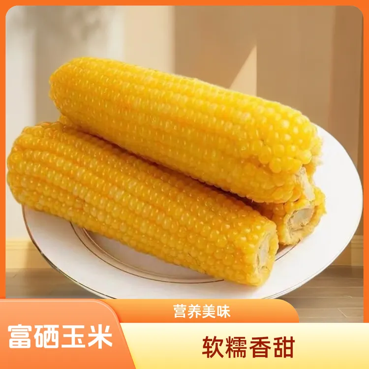 富硒黄糯玉米新鲜头茬软糯香甜健康营养早餐健康粗粮