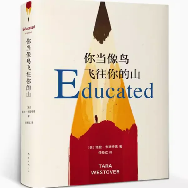 你当像鸟飞往你的山 比尔·盖茨 现当代文学女性暖心励志长篇小