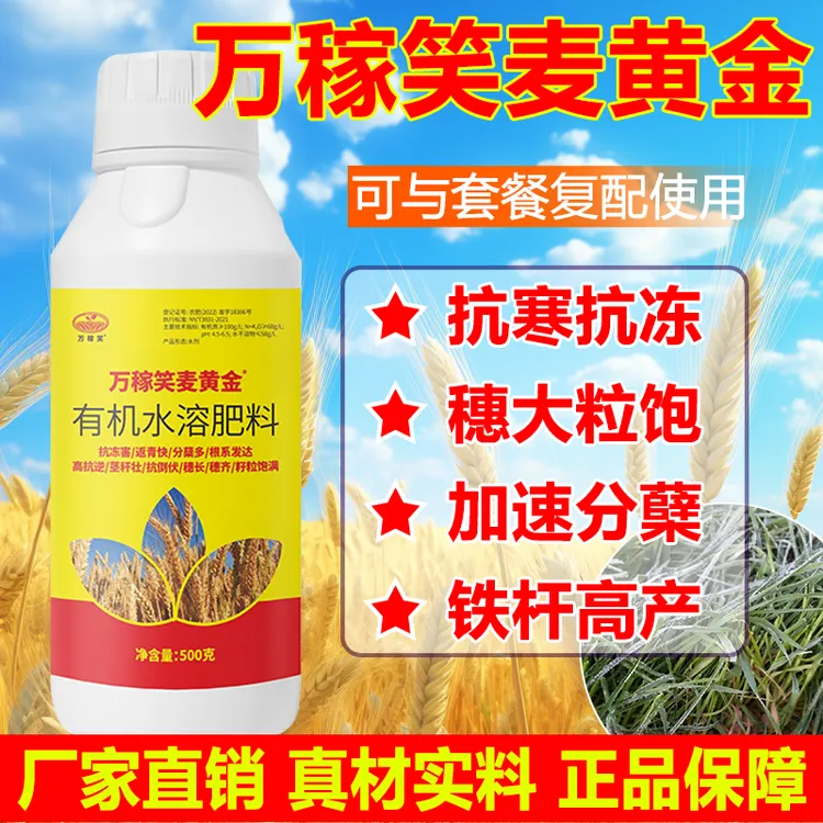 万稼笑麦黄金小麦专用生根壮苗促进分蘖抗倒伏穗大粒饱小麦叶面肥