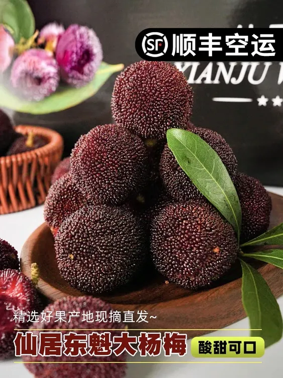 【仙居正宗东魁杨梅8A】新鲜现摘仙居杨梅顺丰冷链空运