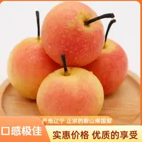 【肖肖专属】鞍山正宗南果梨新鲜东北特产水果酒香软糯多汁