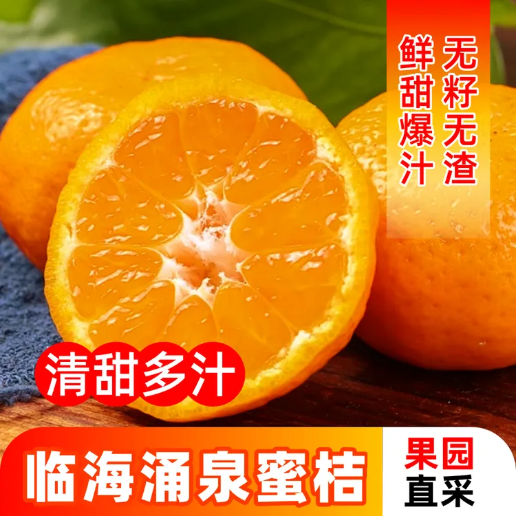 临海涌泉蜜桔 无籽无渣爆汁 清甜果园直采当季新鲜橘子