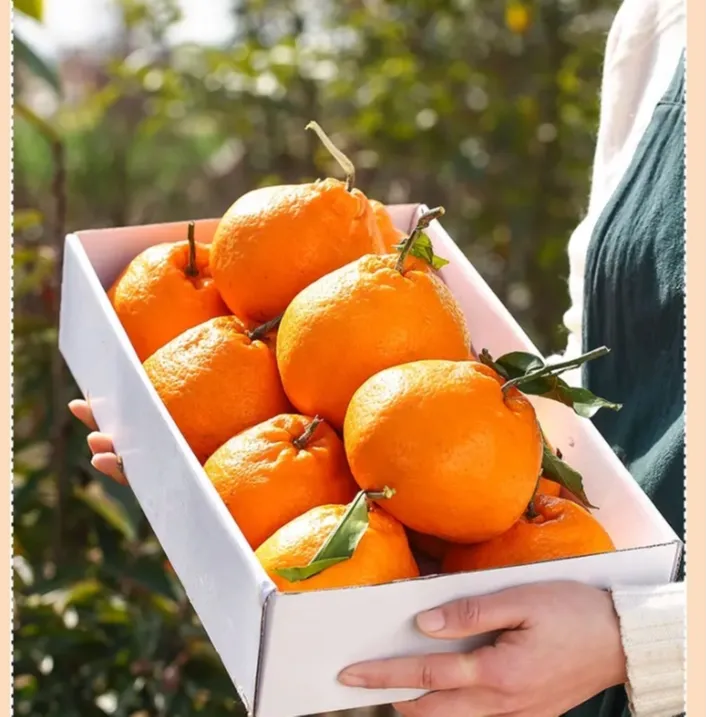 正宗四川春见耙耙柑3/5/8斤耙耙柑丑柑子手剥橘新鲜水果当季水果