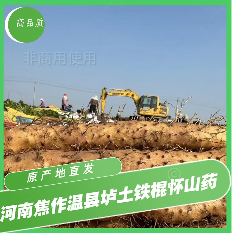 2025年新鲜采挖河南焦作温县垆土地铁棍山药5斤装