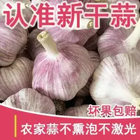 【外干里嫩】2025 头茬新干蒜紫皮蒜香味十足饱满多汁