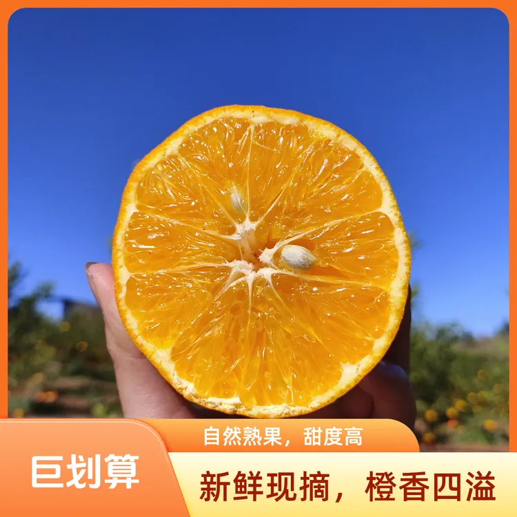 四川高山纯甜沃柑新鲜当季水果老人小孩孕妇水果整箱